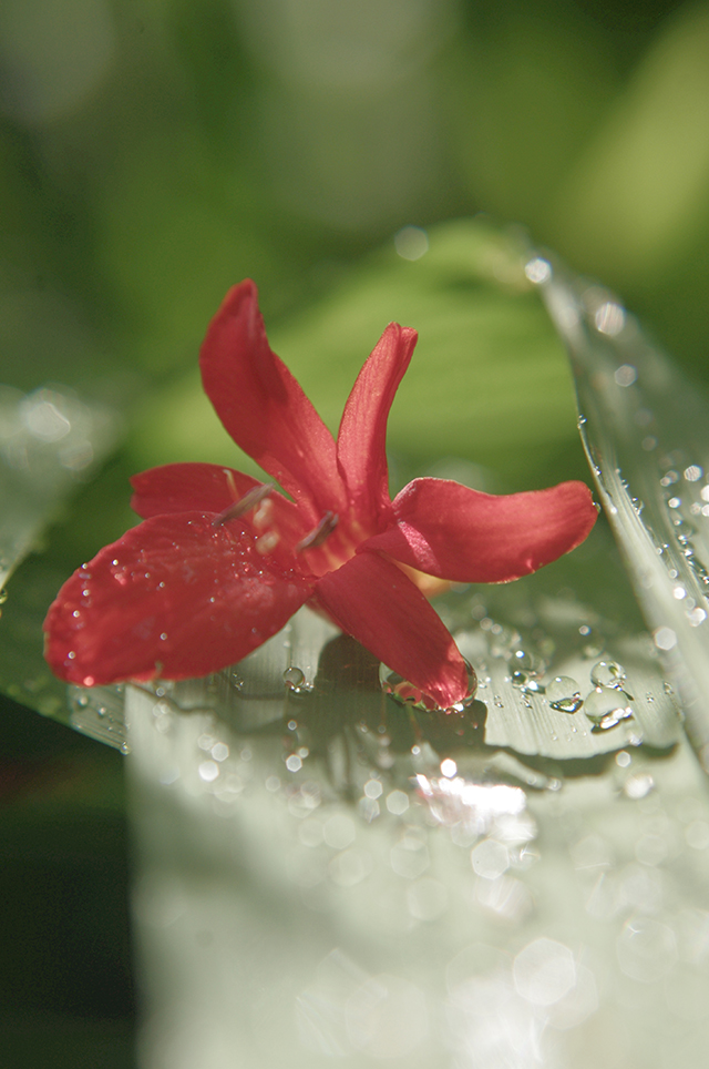 20161019105708_imgp0104 20161019105708_imgp0104