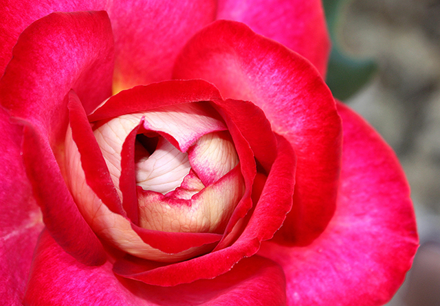 20161019164523_le_hibou 20161019164523_le_hibou