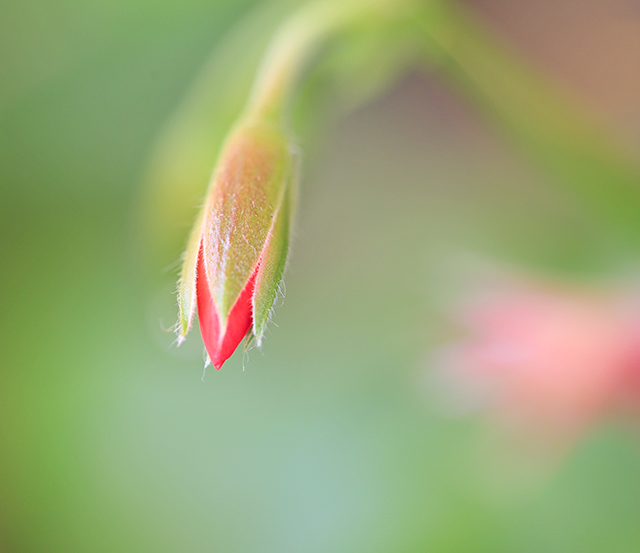 20161018134254_macro 20161018134254_macro