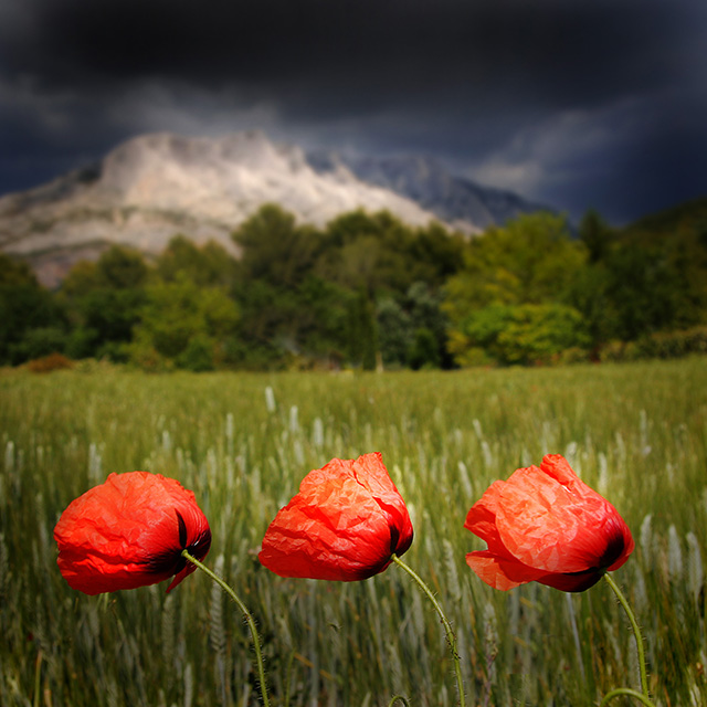 20161018134543_reveren_e_sauval 20161018134543_reveren_e_sauval