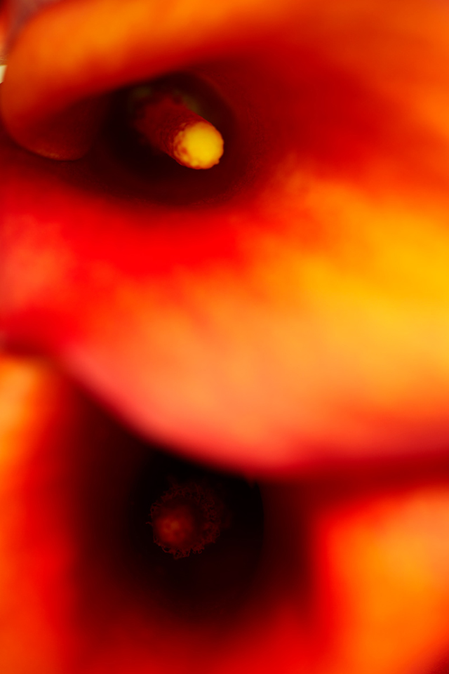 20161019084000__70a9260 20161019084000__70a9260