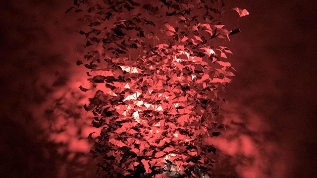 20161019194710_img_20160914_103634_hdr 20161019194710_img_20160914_103634_hdr