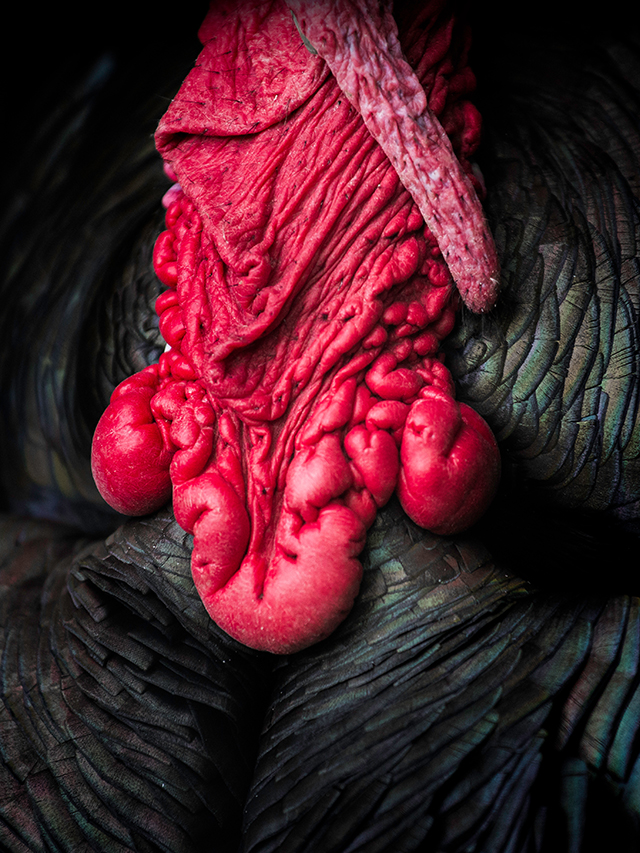 20161019203949_rad_8498 20161019203949_rad_8498