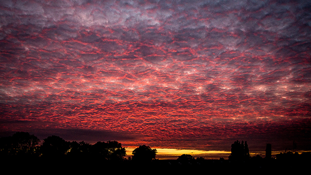 20161019212342_05_0031_0218_dv2016_9052 20161019212342_05_0031_0218_dv2016_9052