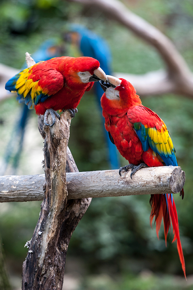 20161020084449_rouge_3 20161020084449_rouge_3