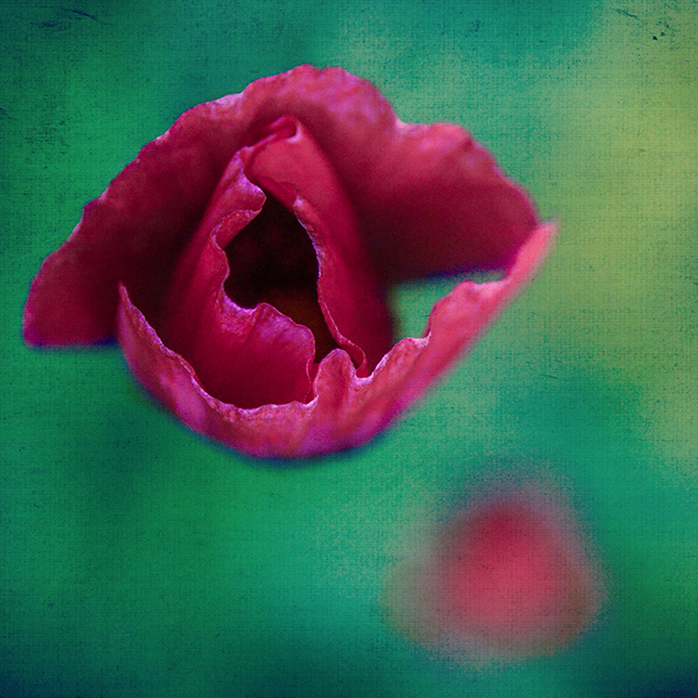 20161021130845_rouge_baiser_cp 20161021130845_rouge_baiser_cp