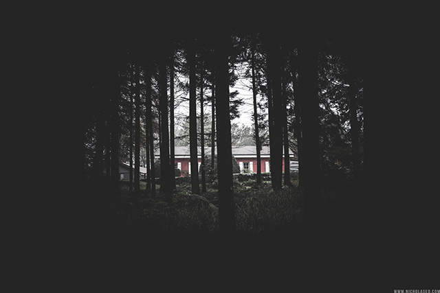 20161021131730_red_001_c 20161021131730_red_001_c