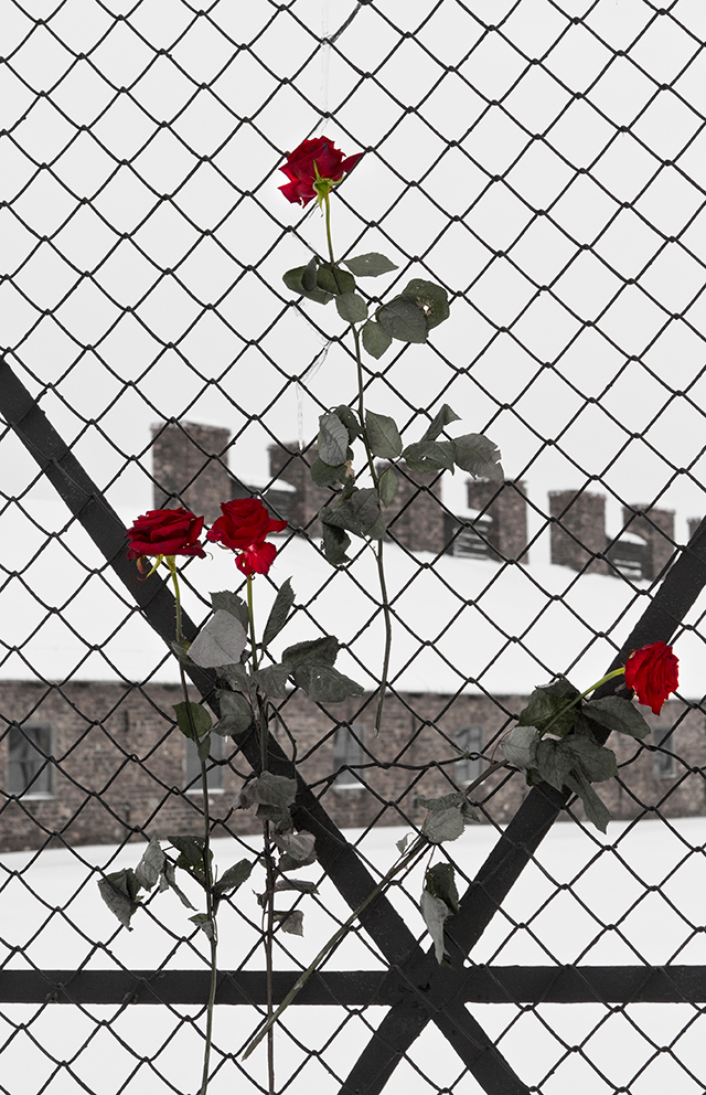 20161021133817_birkenau_en_memoire_des_femmes_joy_forags_deplanche 20161021133817_birkenau_en_memoire_des_femmes_joy_forags_deplanche