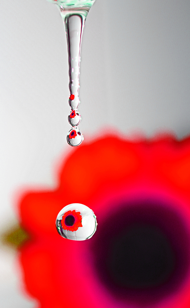 20161021141142_goutte10r 20161021141142_goutte10r