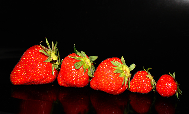 20161021141303_fraises 20161021141303_fraises