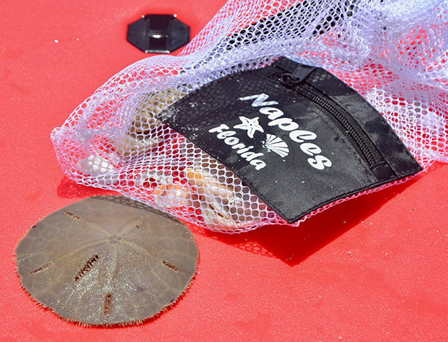 20161021145228_dsc_1736 20161021145228_dsc_1736