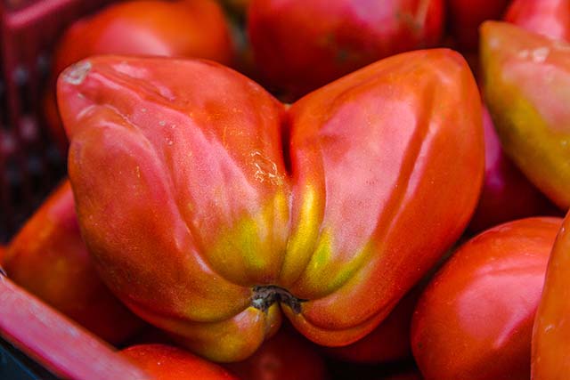 20161021162750_20160911_q150425_1 20161021162750_20160911_q150425_1