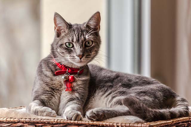 20161021165006_q1531120022_1 20161021165006_q1531120022_1