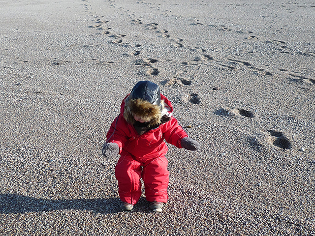 20161021185518_p1010788 20161021185518_p1010788