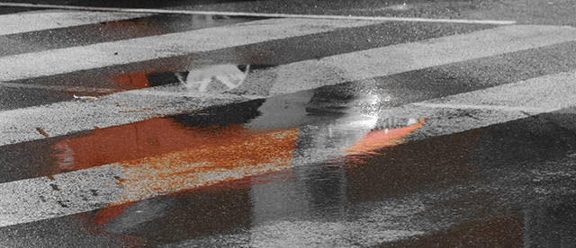 20161023125355_dsc_0117__2_ 20161023125355_dsc_0117__2_