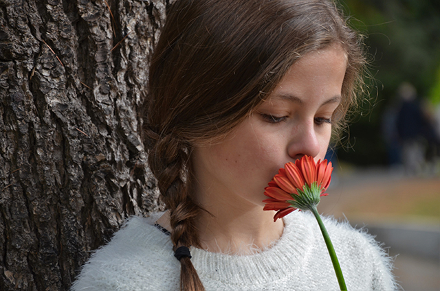 20161023131910_dsc_0145 20161023131910_dsc_0145