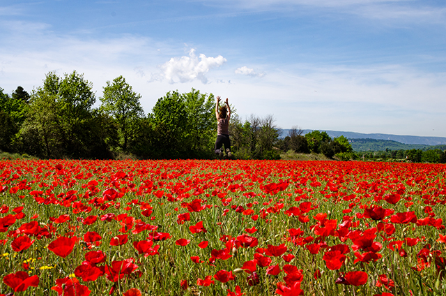 20161023160202_le_bonheur_est_dans_le_pre_!___participation_m__geoffroy 20161023160202_le_bonheur_est_dans_le_pre_!___participation_m__geoffroy