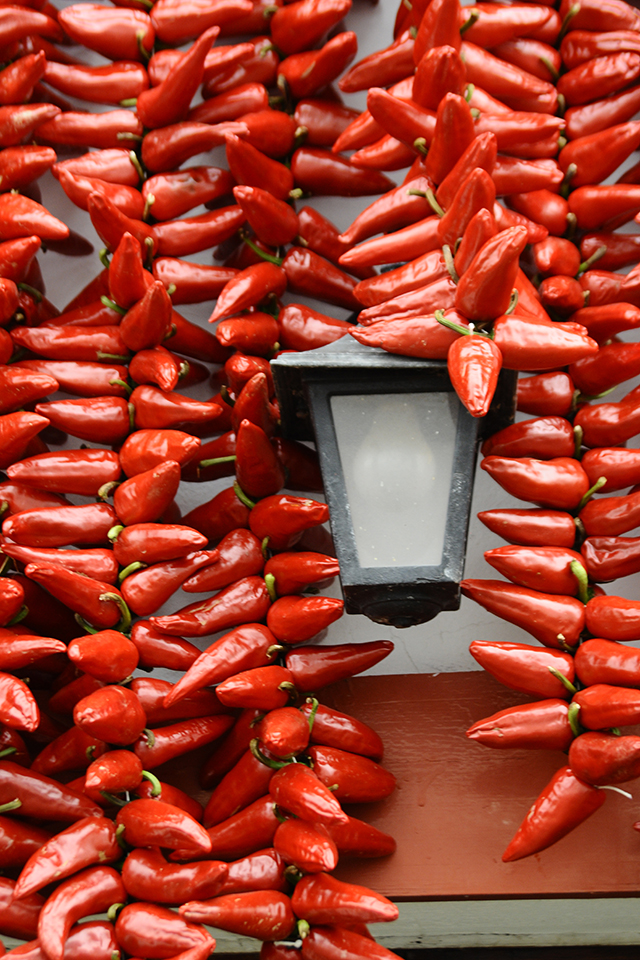 20161023172055___antoine_roulet_la_lanterne_d_espelette 20161023172055___antoine_roulet_la_lanterne_d_espelette