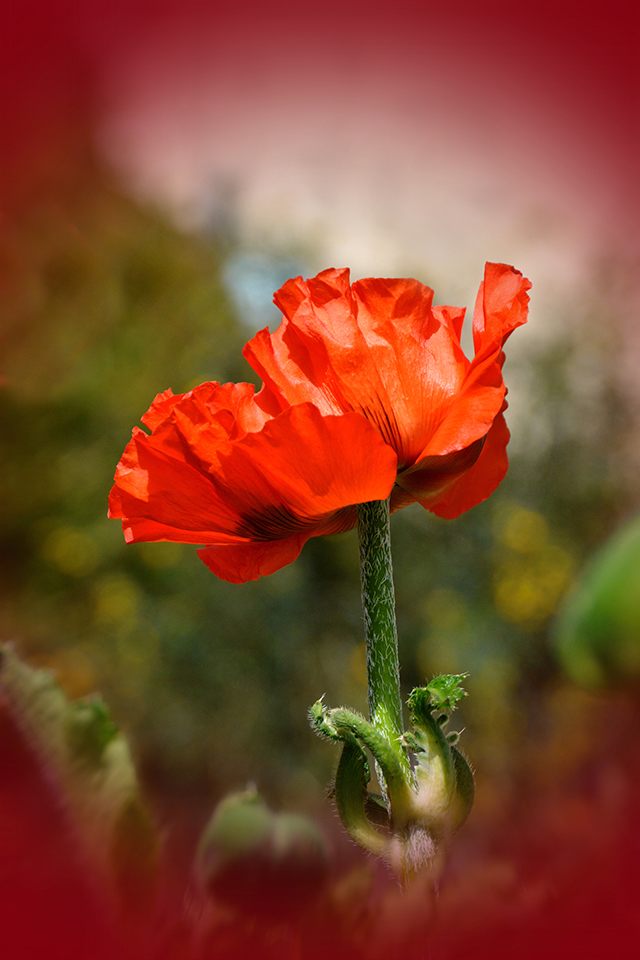 20161023173620_blg_6782 20161023173620_blg_6782