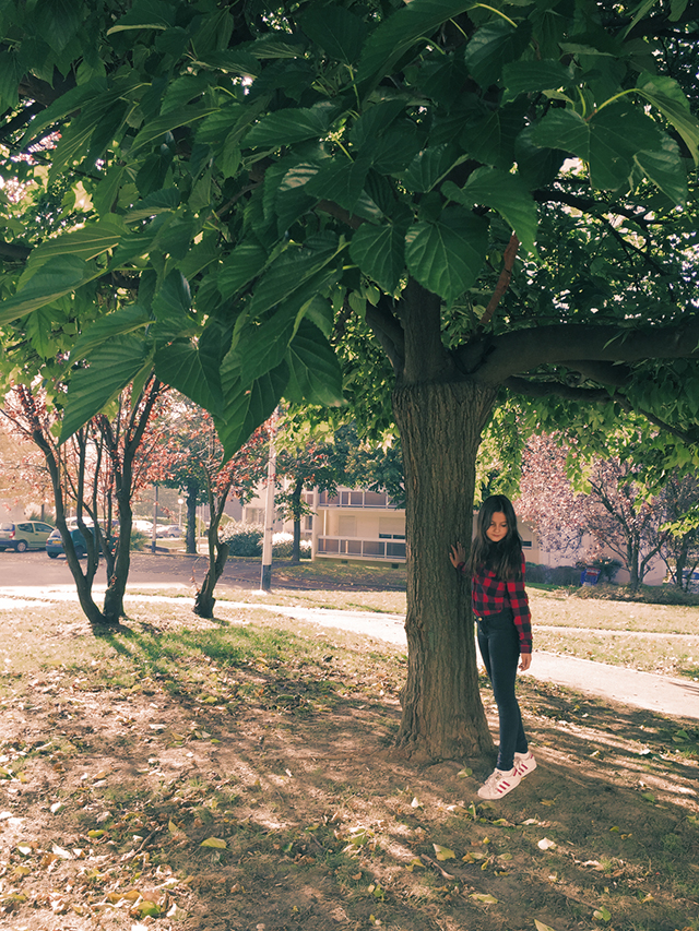 20161023231526_w3h33na 20161023231526_w3h33na