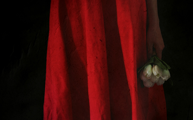 20161024000544_salon_de_la_photo_2016__mme_osztab_cathy___2_ 20161024000544_salon_de_la_photo_2016__mme_osztab_cathy___2_