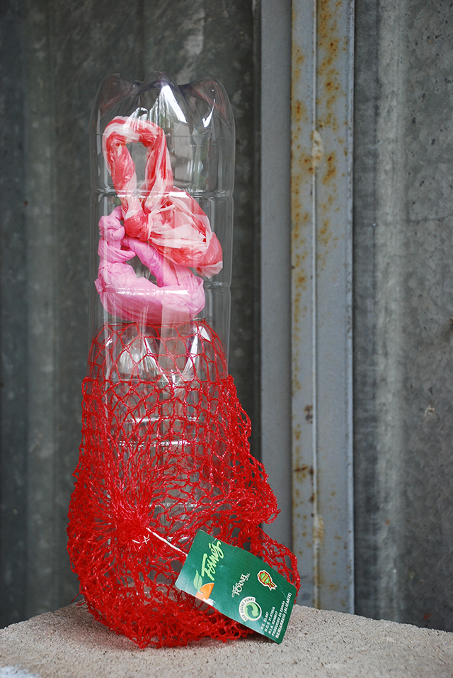 20161024105437_dsc_0144_003 20161024105437_dsc_0144_003