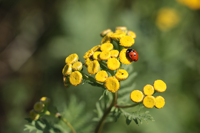 20161024111741_img_0223 20161024111741_img_0223