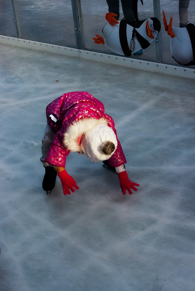 20161024112744_imgp8716_1_ 20161024112744_imgp8716_1_