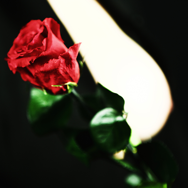 20161020112212__l3a3700_cp 20161020112212__l3a3700_cp