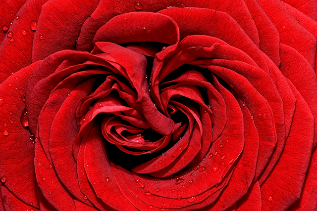 20161020154021_dsc_4869_jpeg_retouche_recadre 20161020154021_dsc_4869_jpeg_retouche_recadre