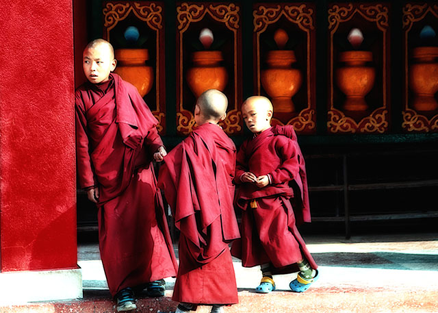 20161020191642___danielle_dupre_red_2_img_6284 20161020191642___danielle_dupre_red_2_img_6284