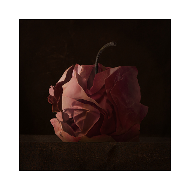 20161022175452_pomme_froisee_ng 20161022175452_pomme_froisee_ng