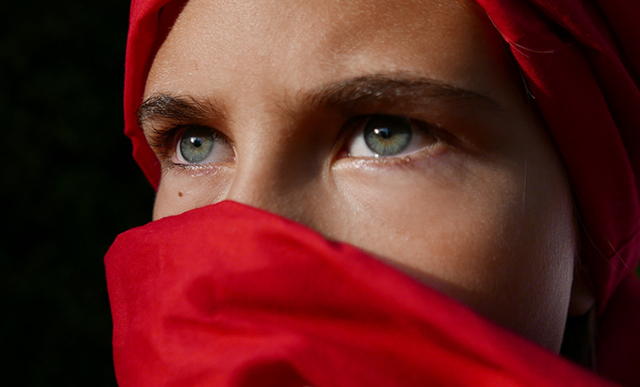 20161022194601_p1110621 20161022194601_p1110621