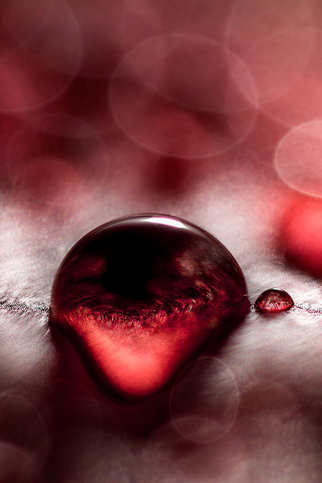 20161023140507_moko_12_8909_matrice 20161023140507_moko_12_8909_matrice