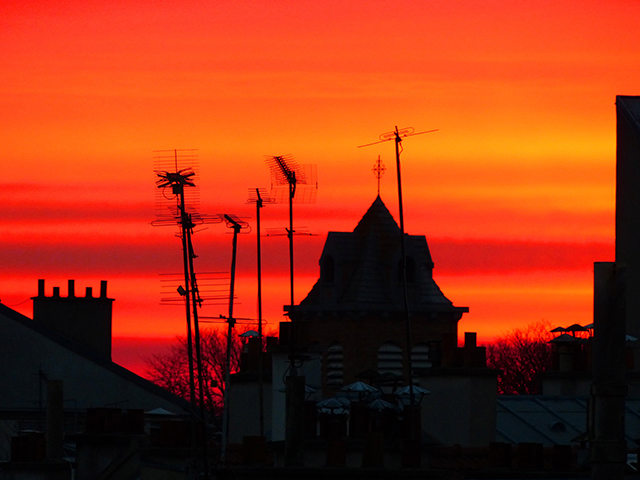 20161023232732_p1270936 20161023232732_p1270936