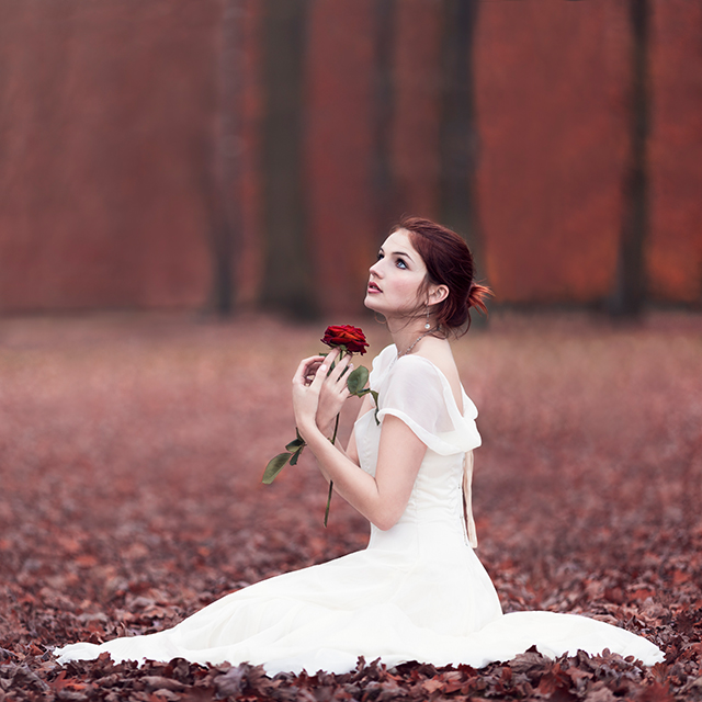 20161023231934_carre_rouge_cyril_sonigo 20161023231934_carre_rouge_cyril_sonigo