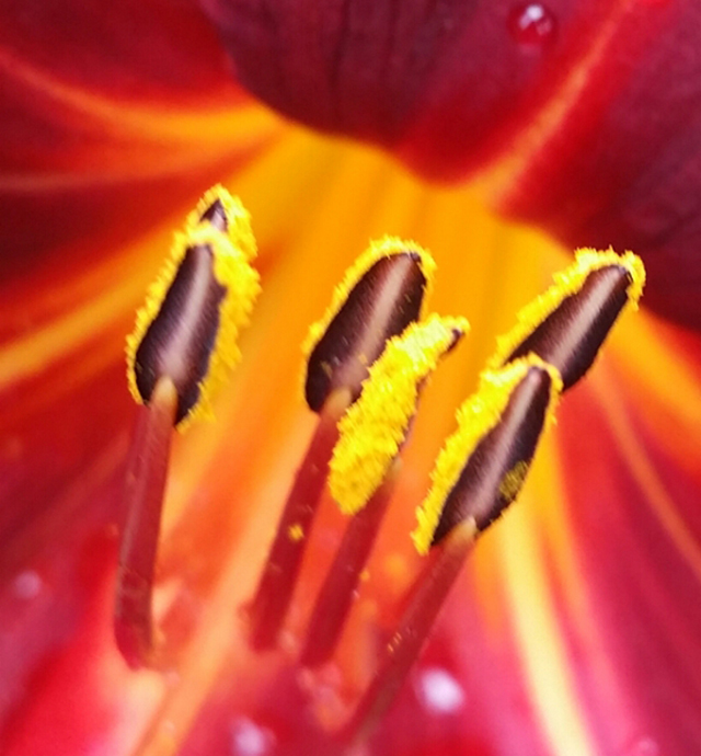 20161024201504_2014_06_28_15_30_48 20161024201504_2014_06_28_15_30_48