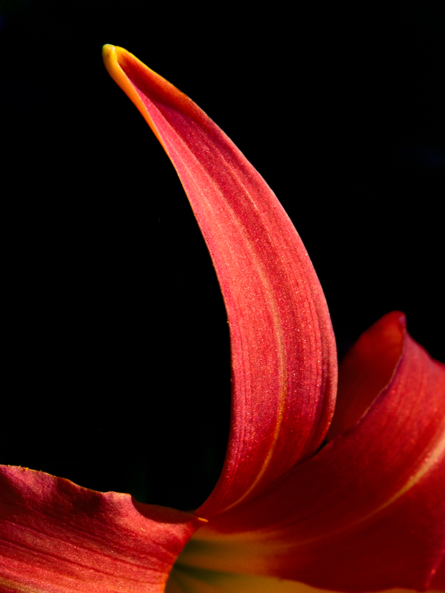 20161024144743__dsc6135 20161024144743__dsc6135