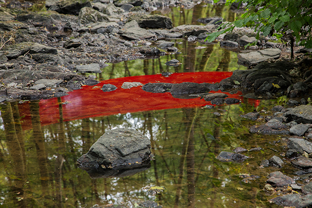 20161024175012_michel_alain_louys_reflet_rouge 20161024175012_michel_alain_louys_reflet_rouge
