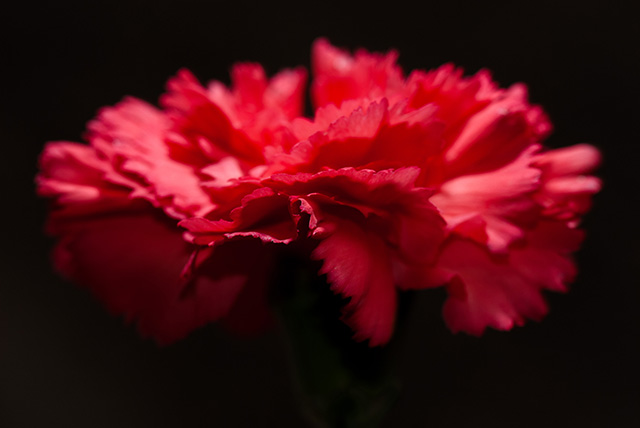 20161024192346_appelprojetlachambrerouge_huguesmitton_3 20161024192346_appelprojetlachambrerouge_huguesmitton_3