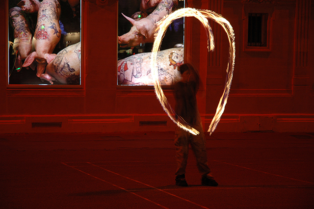 20161024205554_dsc_3256 20161024205554_dsc_3256