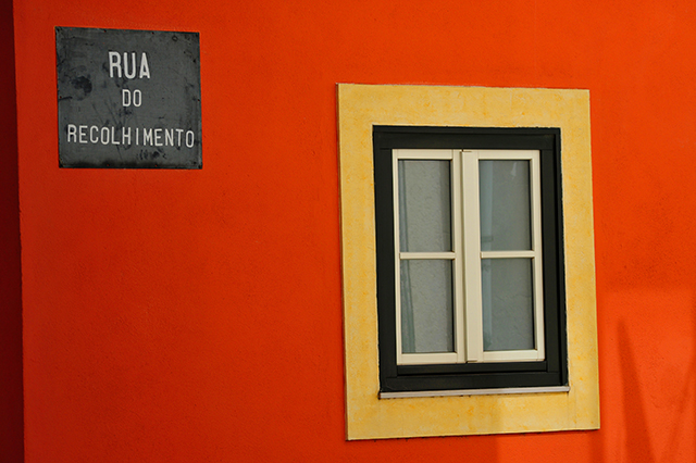 20161024212440_fla_8872 20161024212440_fla_8872