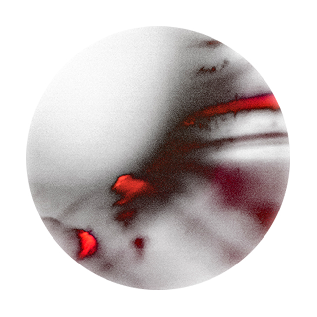 20161024212549_exo8_iste 20161024212549_exo8_iste