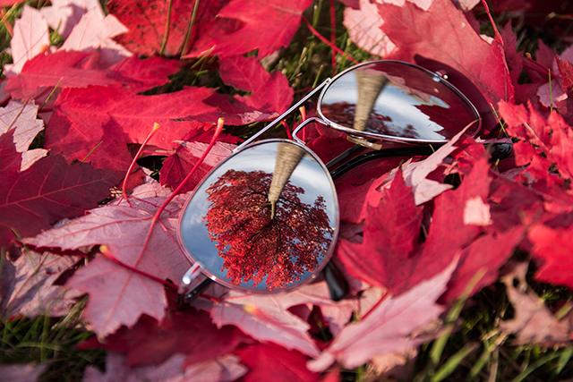 20161024224153_dsc_0577 20161024224153_dsc_0577