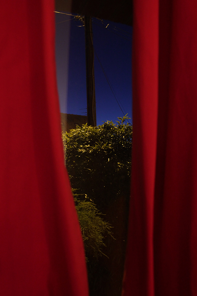 20161024230258_img_4139_sans_titre 20161024230258_img_4139_sans_titre