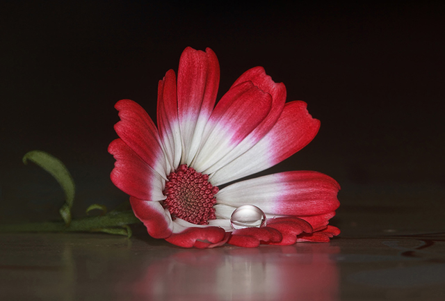 20161024230334_copie_de_09375__oo 20161024230334_copie_de_09375__oo