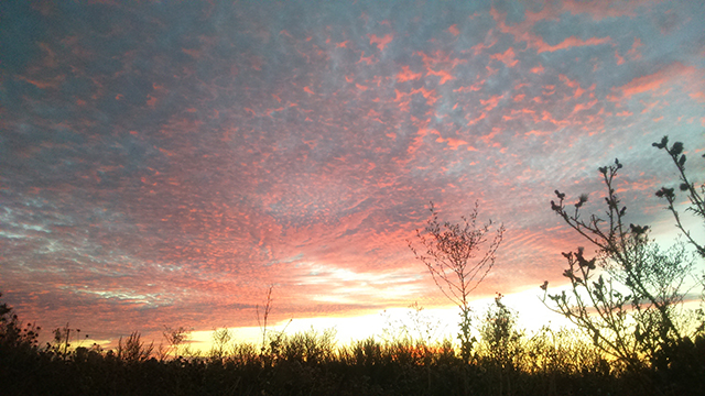 20161024232744_rouge_ciel 20161024232744_rouge_ciel