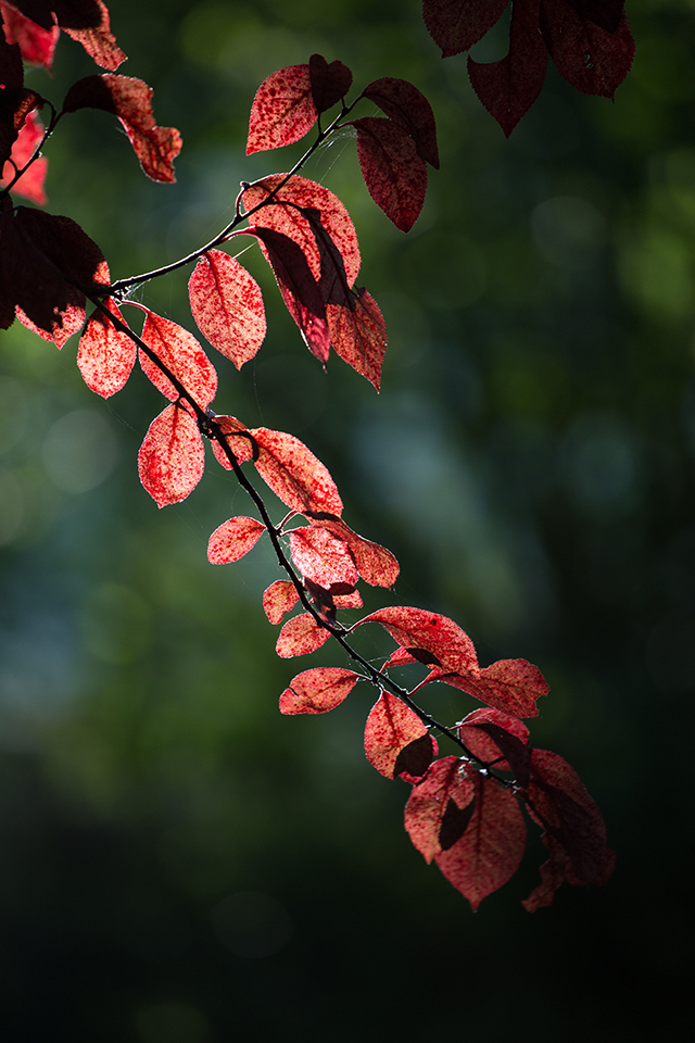 20161024234437_24336416362_1ec08c2177_o 20161024234437_24336416362_1ec08c2177_o