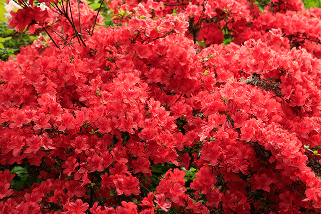 20161025000238__mg_9345 20161025000238__mg_9345