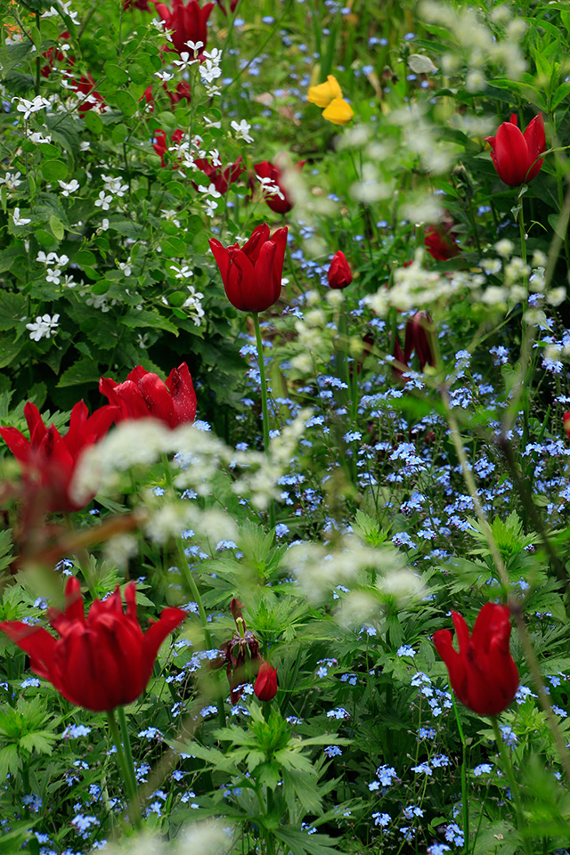 20161025000801__mg_8851 20161025000801__mg_8851